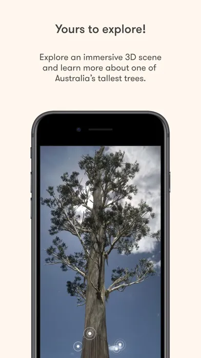 Ảnh chụp màn hình của Arve Big Tree