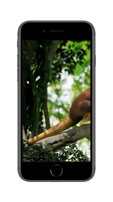 Meet a tree kangaroo स्क्रीनशॉट