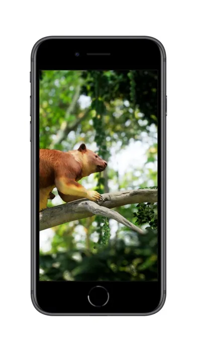 Meet a tree kangaroo स्क्रीनशॉट