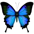 Lexis Affinity Portal