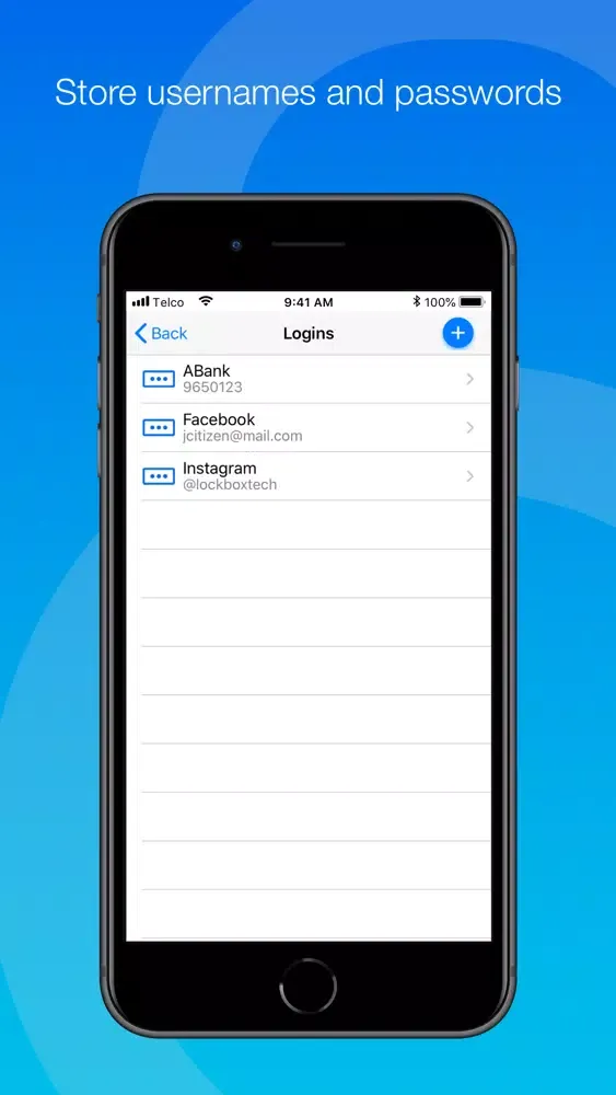 Screenshot di LockPass
