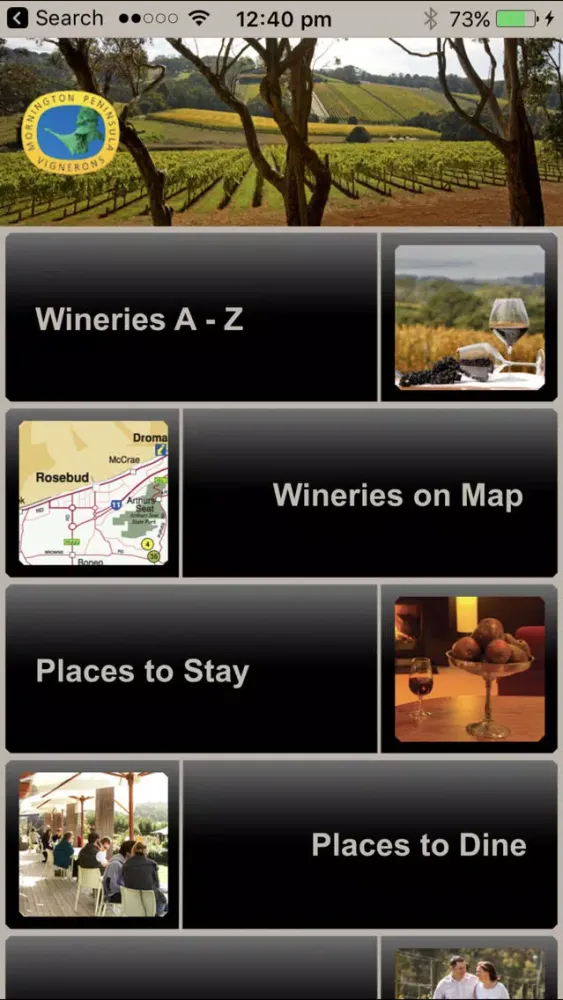 Скриншоты MP Wineries