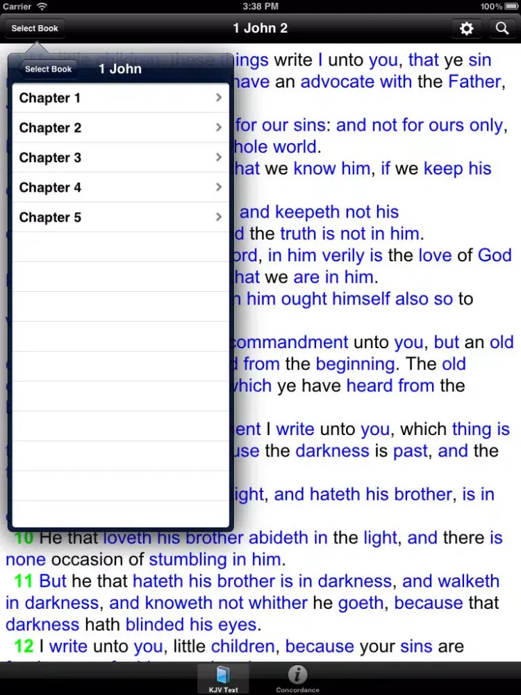 Strong's Concordance Lite iPad  스크린샷