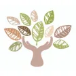 Adamstown Early Learning Adamstown Early Learning
