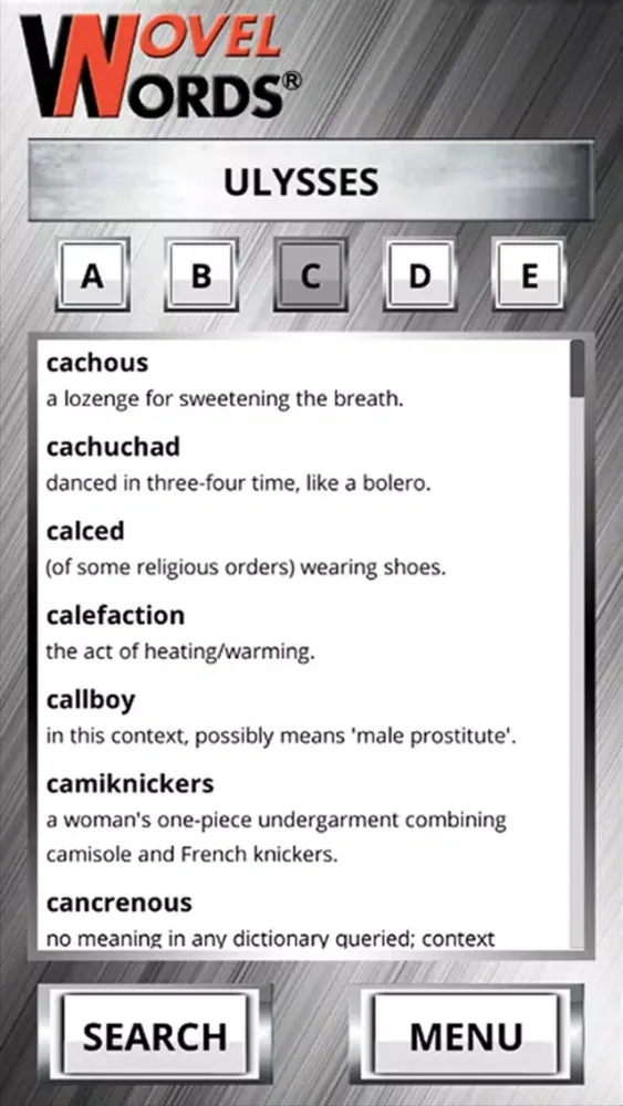 Novel Words Collection应用截图