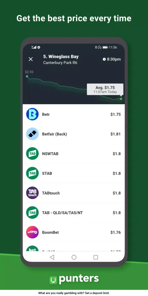 Zrzuty ekranu Punters