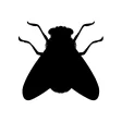 Animated Bugs Animated Bugs