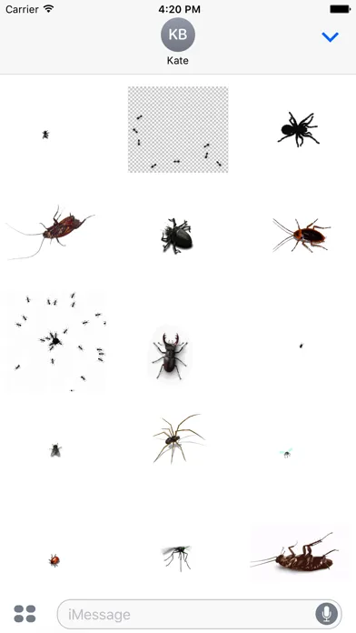 صور Animated Bugs