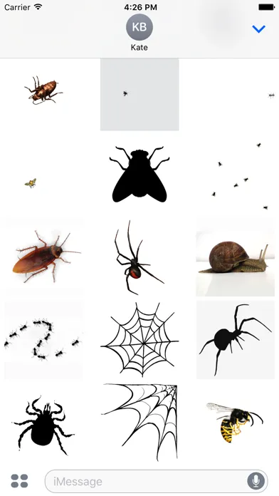 صور Animated Bugs