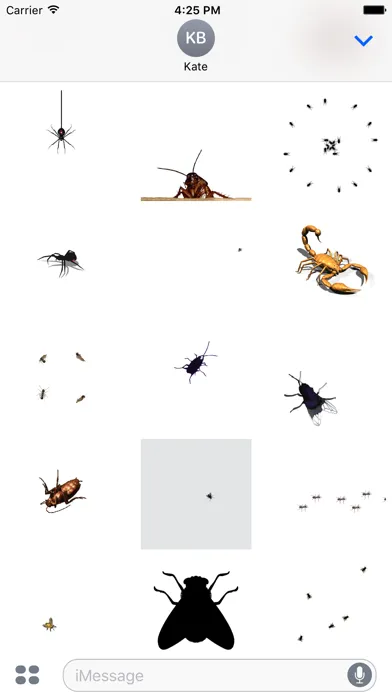 صور Animated Bugs
