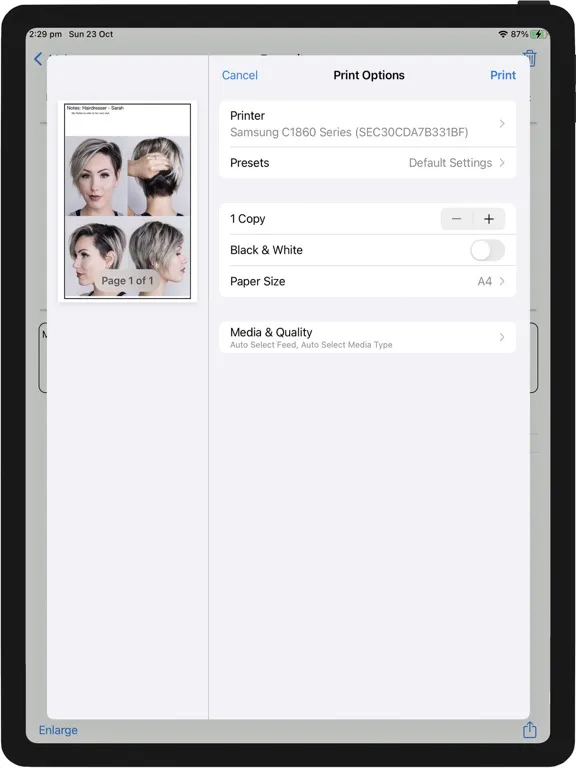Tangkapan layar My Hairstyle iPad 