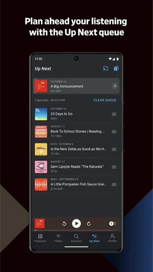 Pocket Casts - Podcast App-screenshot-4