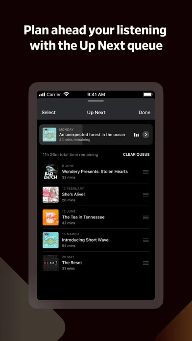 Pocket Casts: Podcast Player应用截图