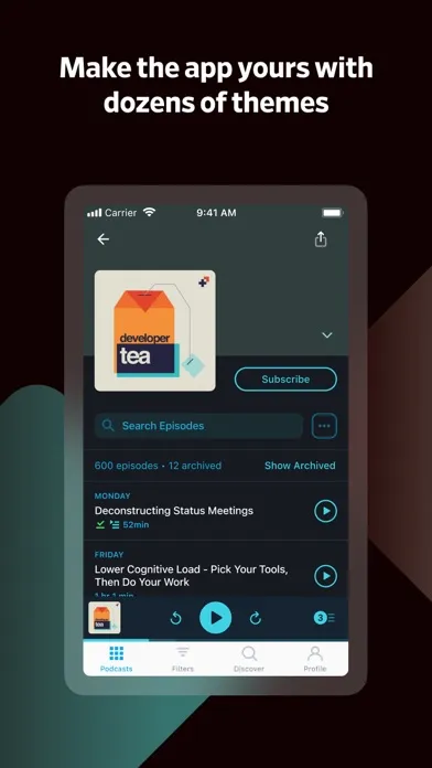 Pocket Casts: Podcast Player应用截图
