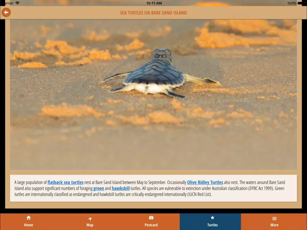 Скриншоты Sea Darwin iPad 