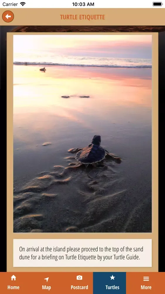 Скриншоты Sea Darwin