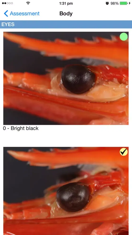 Capturas de pantalla de Australian Seafood Quality Index