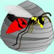 iWasp Attack