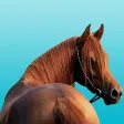 Horse Tracks Lite