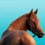 Horse Tracks Lite