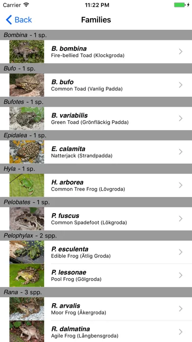 Capturas de tela do Reptiles and Amphibians of Sweden