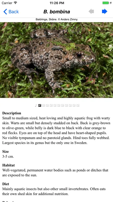 Capturas de tela do Reptiles and Amphibians of Sweden
