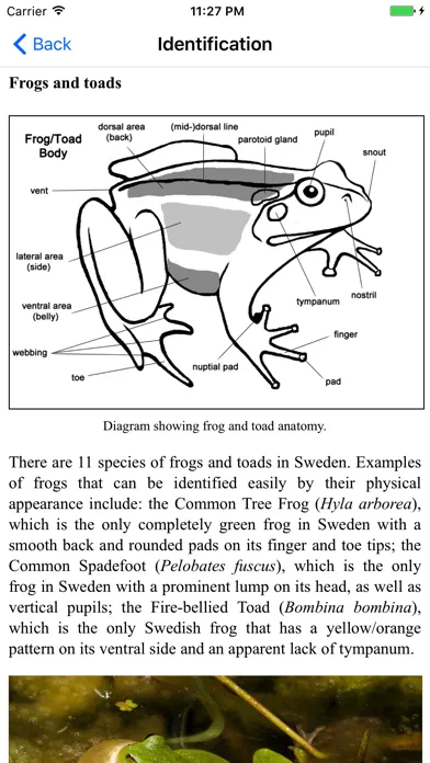 Capturas de tela do Reptiles and Amphibians of Sweden