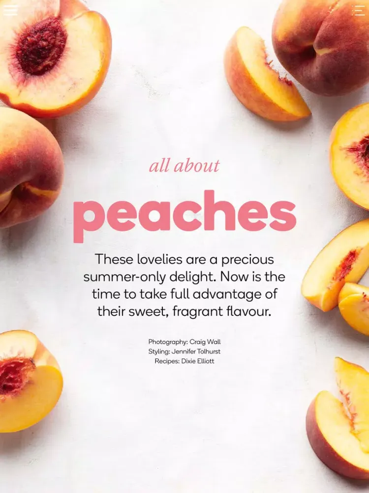 Tangkapan skrin Fresh Ideas magazine iPad 