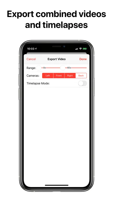 Tangkapan layar Dash View for Tesla Cars