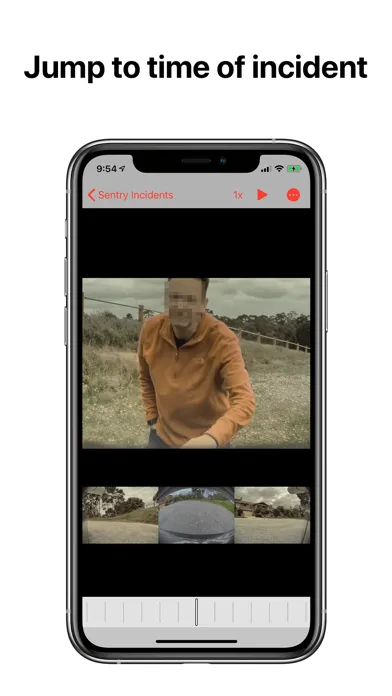 Tangkapan layar Dash View for Tesla Cars