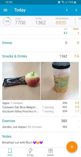 Tangkapan skrin Easy Diet Diary