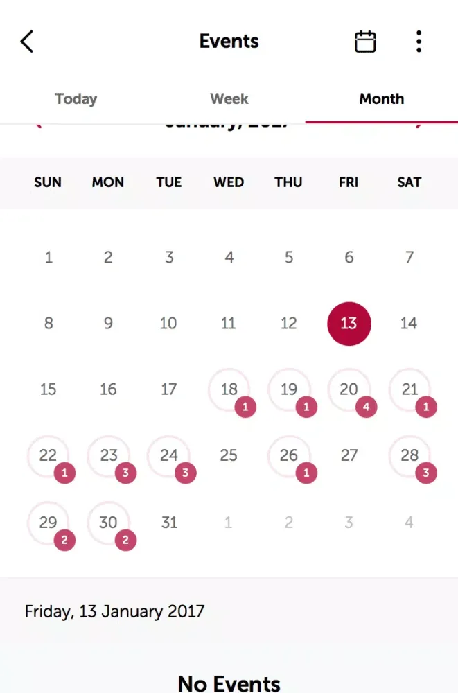 Mount Alvernia College Screenshots