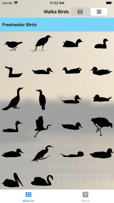 Zrzuty ekranu Walka Birds