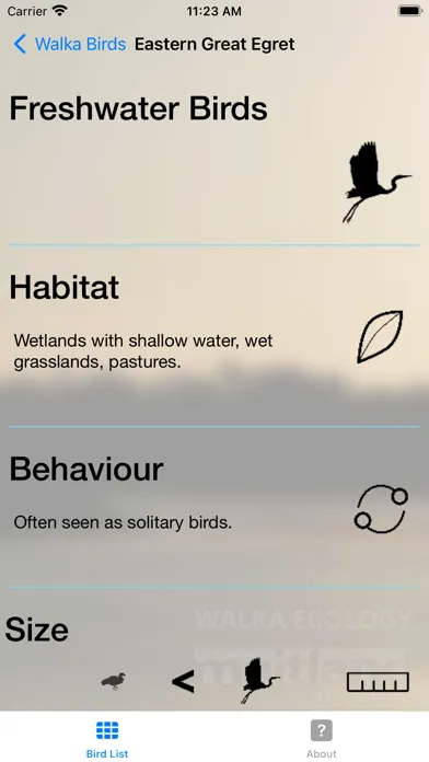 Zrzuty ekranu Walka Birds