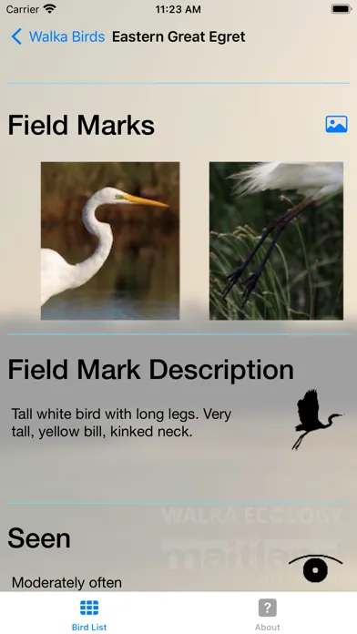 Zrzuty ekranu Walka Birds