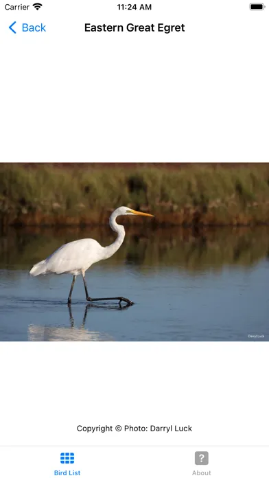 Zrzuty ekranu Walka Birds
