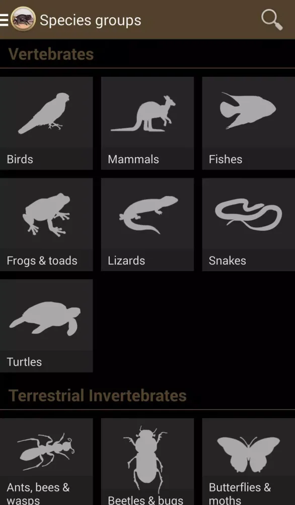 Field Guide to Tasmanian Fauna Screenshots