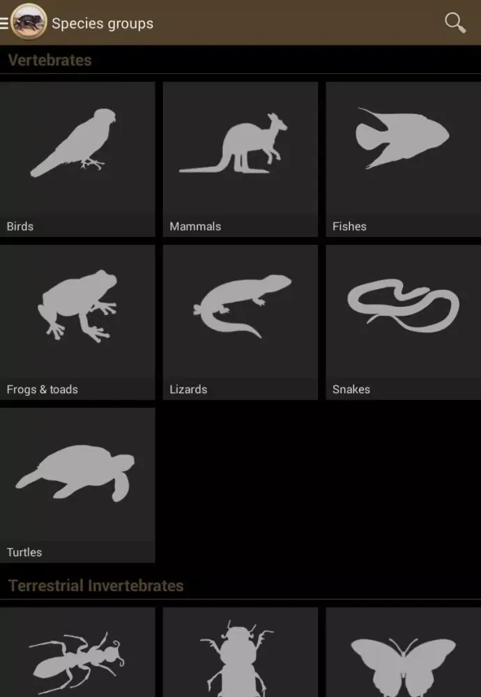 Field Guide to Tasmanian Fauna Screenshots