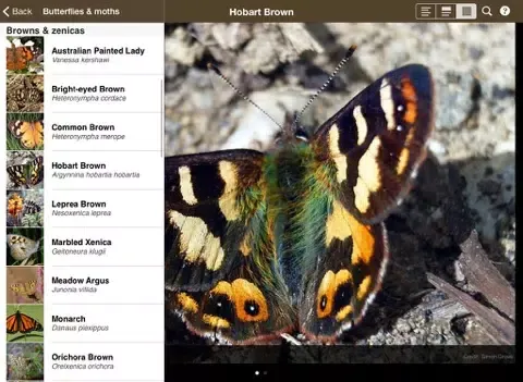 Tangkapan layar Field Guide to Tasmanian Fauna iPad 