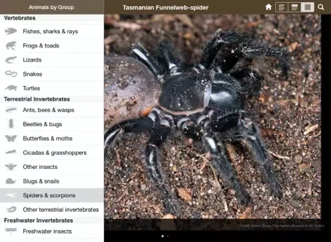 Tangkapan layar Field Guide to Tasmanian Fauna iPad 