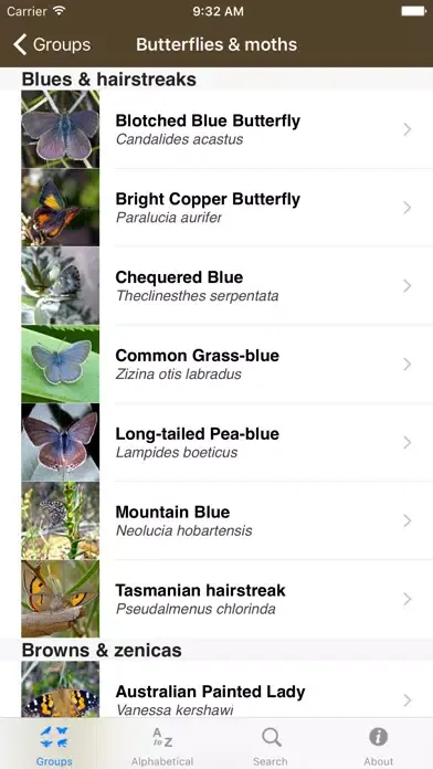 Tangkapan layar Field Guide to Tasmanian Fauna