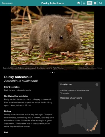 Screenshot di Field Guide to Australian Capital Territory Fauna iPad 