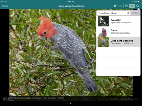 Screenshot di Field Guide to Australian Capital Territory Fauna iPad 
