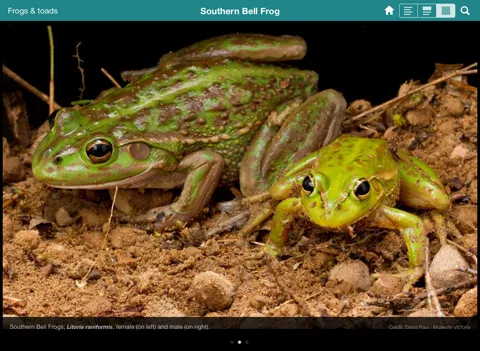 Screenshot di Field Guide to Australian Capital Territory Fauna iPad 