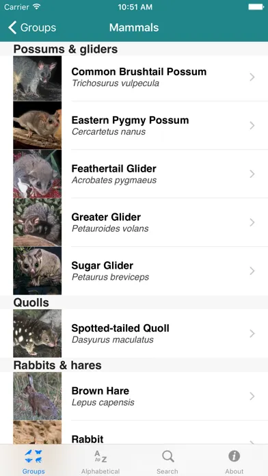 Screenshot di Field Guide to Australian Capital Territory Fauna