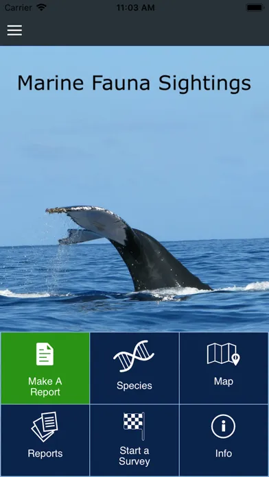 Marine Fauna sightings Screenshots