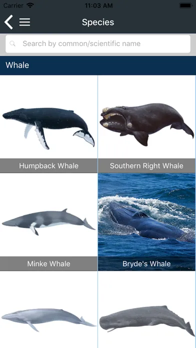 Marine Fauna sightings Screenshots