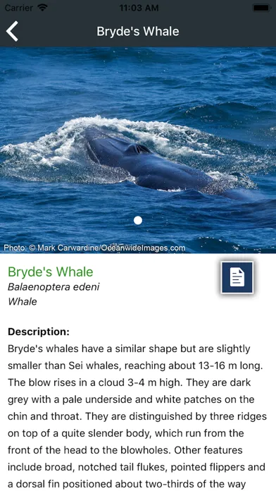 Marine Fauna sightings Screenshots