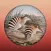 Field Guide to Western Australian Fauna