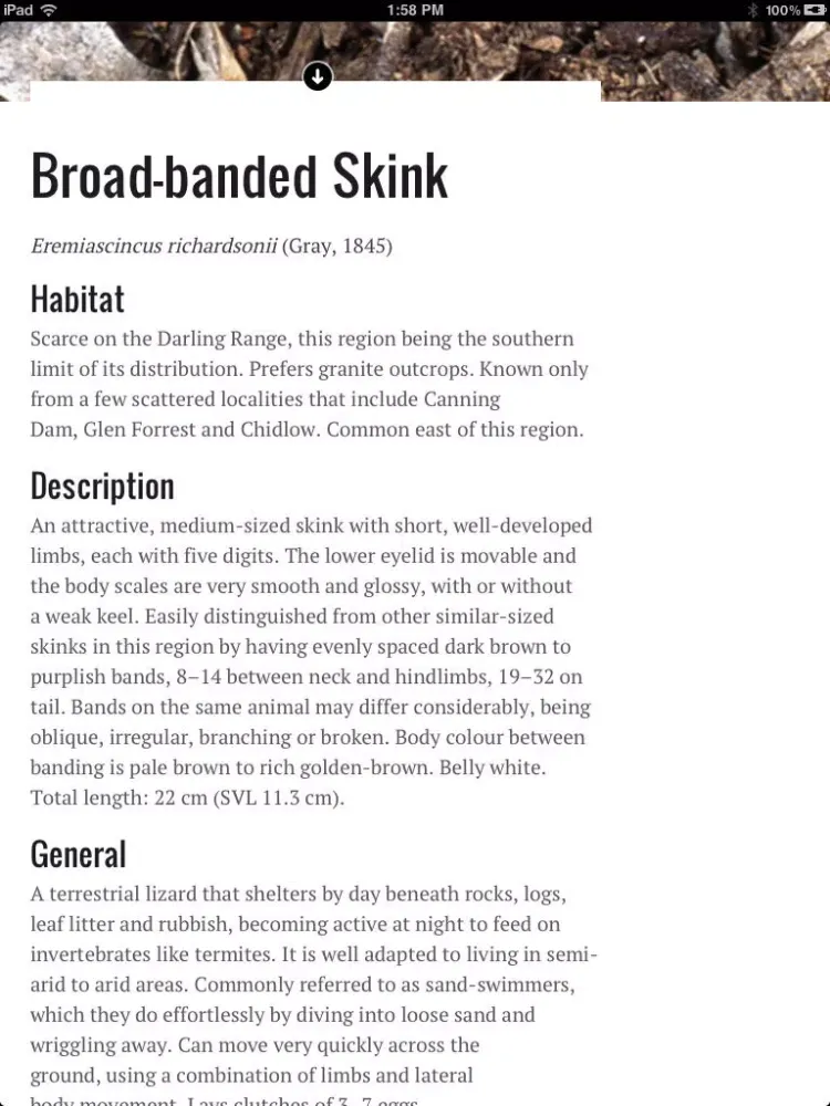Perth Skinks iPad 应用截图